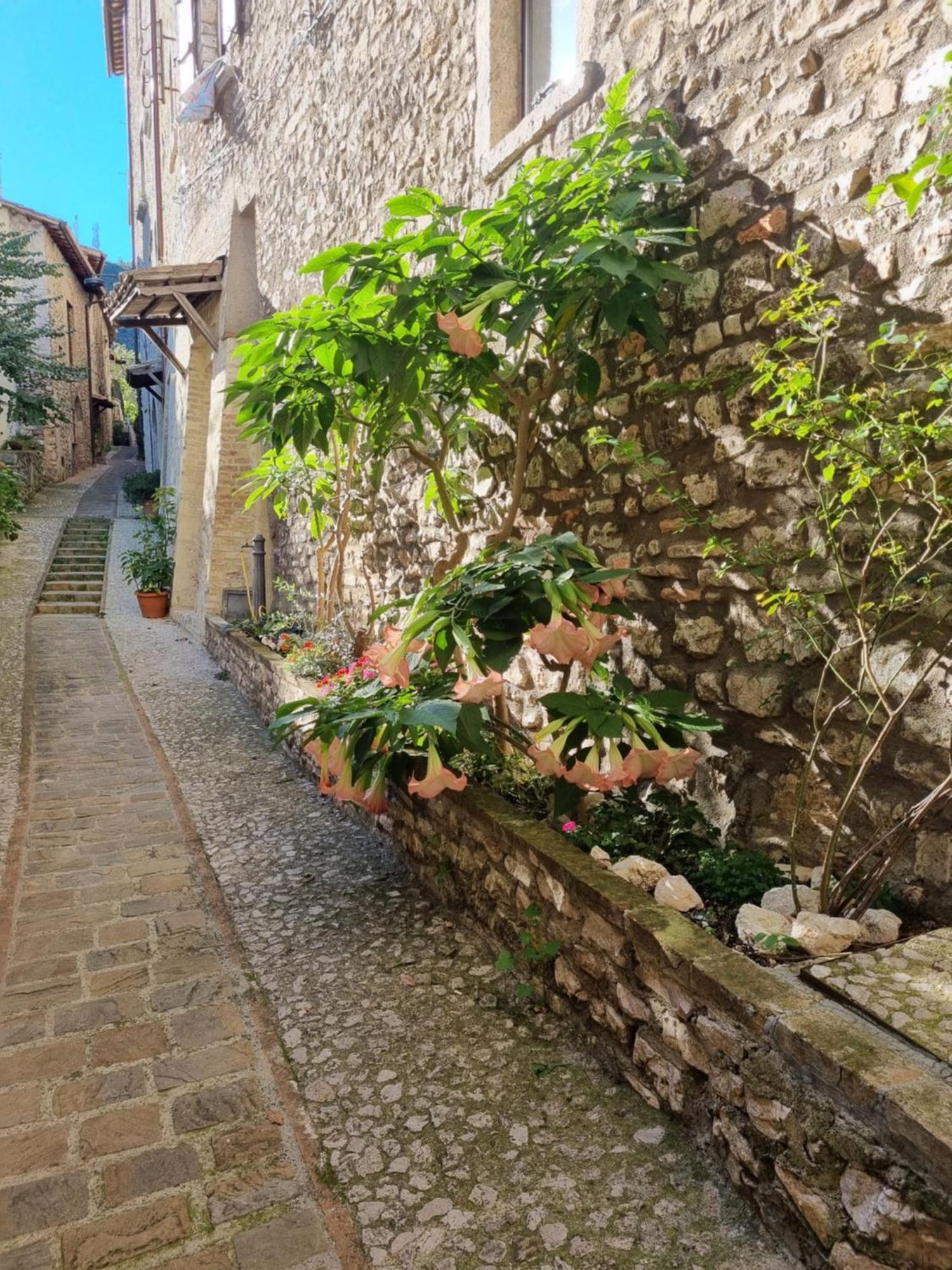 Cuore Del Castello Arrone ภายนอก รูปภาพ